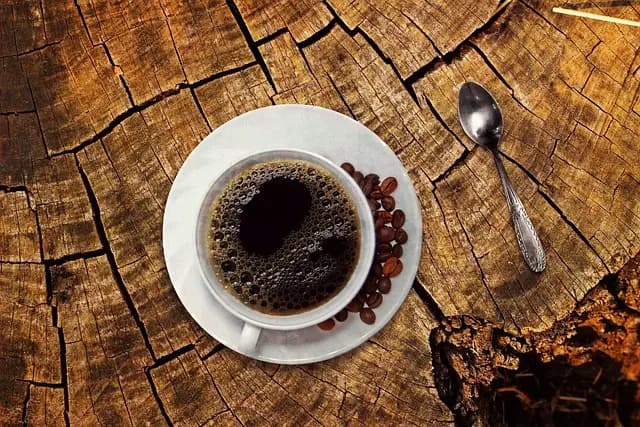Guide d'achat : Meilleur café bio pour un goût authentique